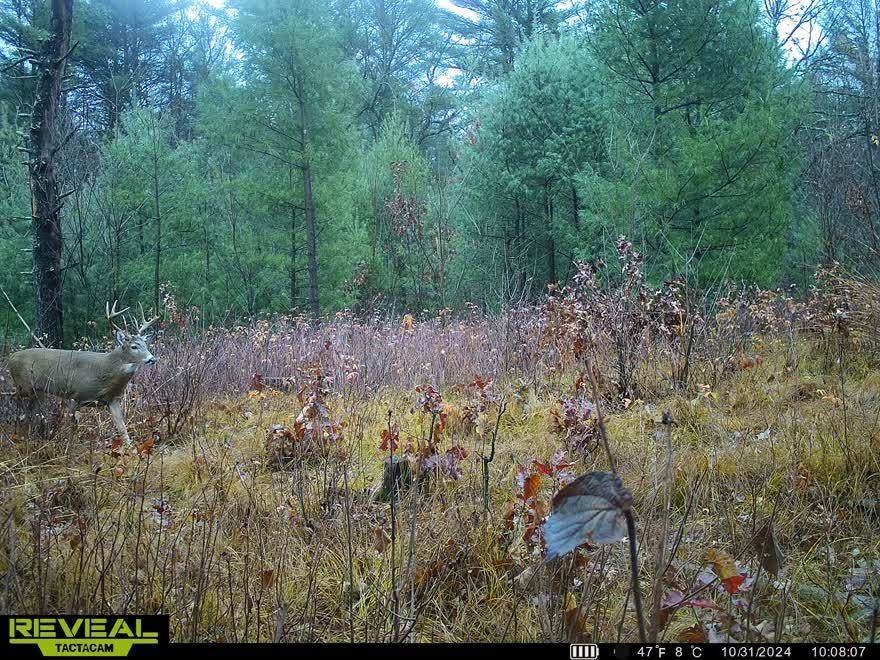 42.5-ac Freedom Wisconsin Dells, WI 53965 - Photo 40 of 42