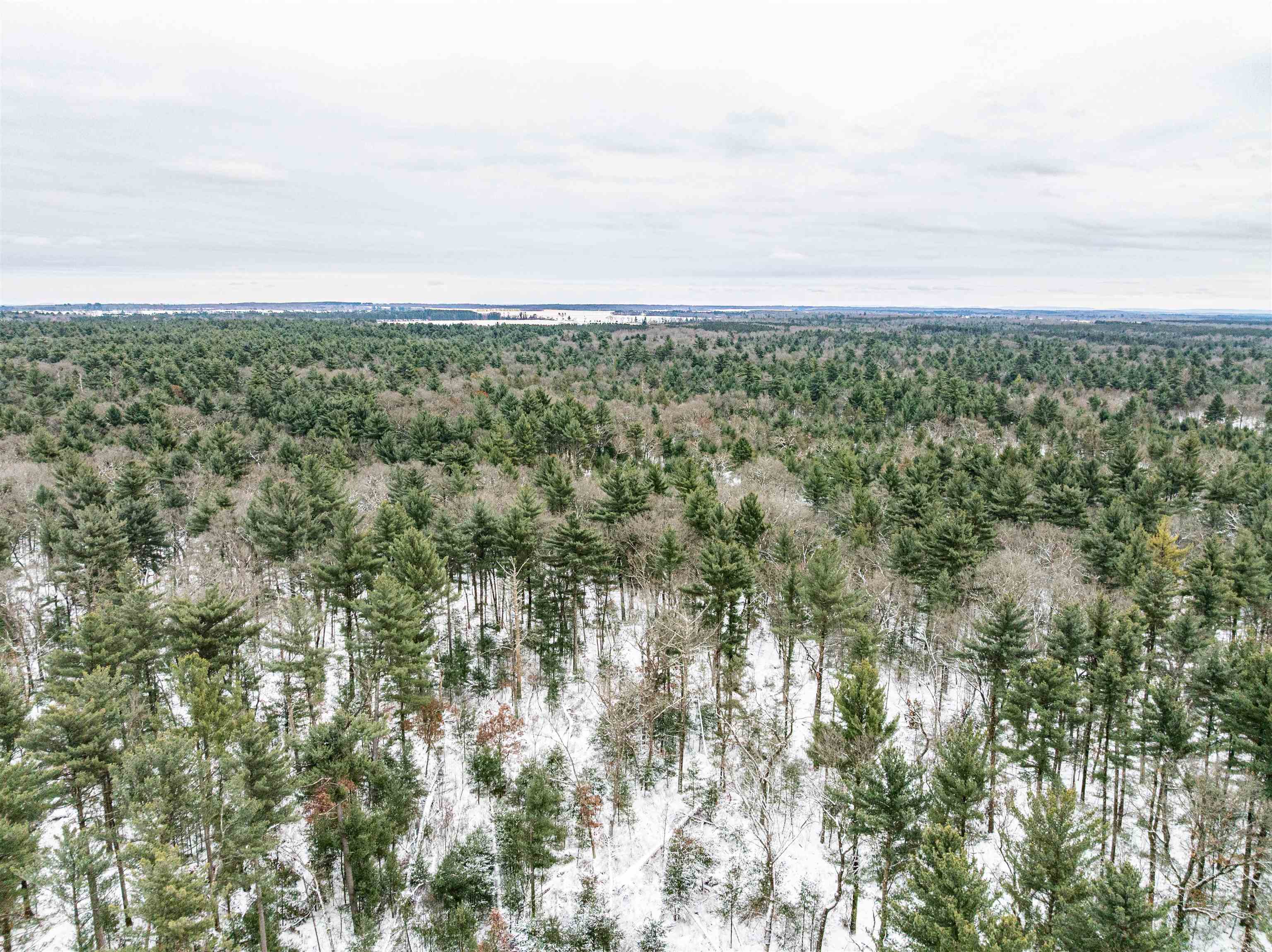 42.5-ac Freedom Wisconsin Dells, WI 53965 - Photo 4 of 42