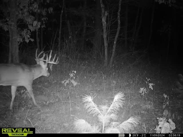 42.5-ac Freedom Wisconsin Dells, WI 53965 - Photo 6 of 42