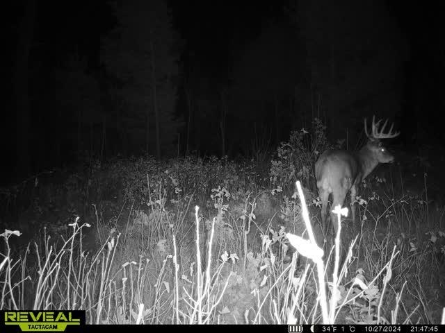 42.5-ac Freedom Wisconsin Dells, WI 53965 - Photo 7 of 42