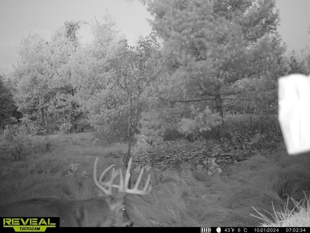 42.5-ac Freedom Wisconsin Dells, WI 53965 - Photo 10 of 42