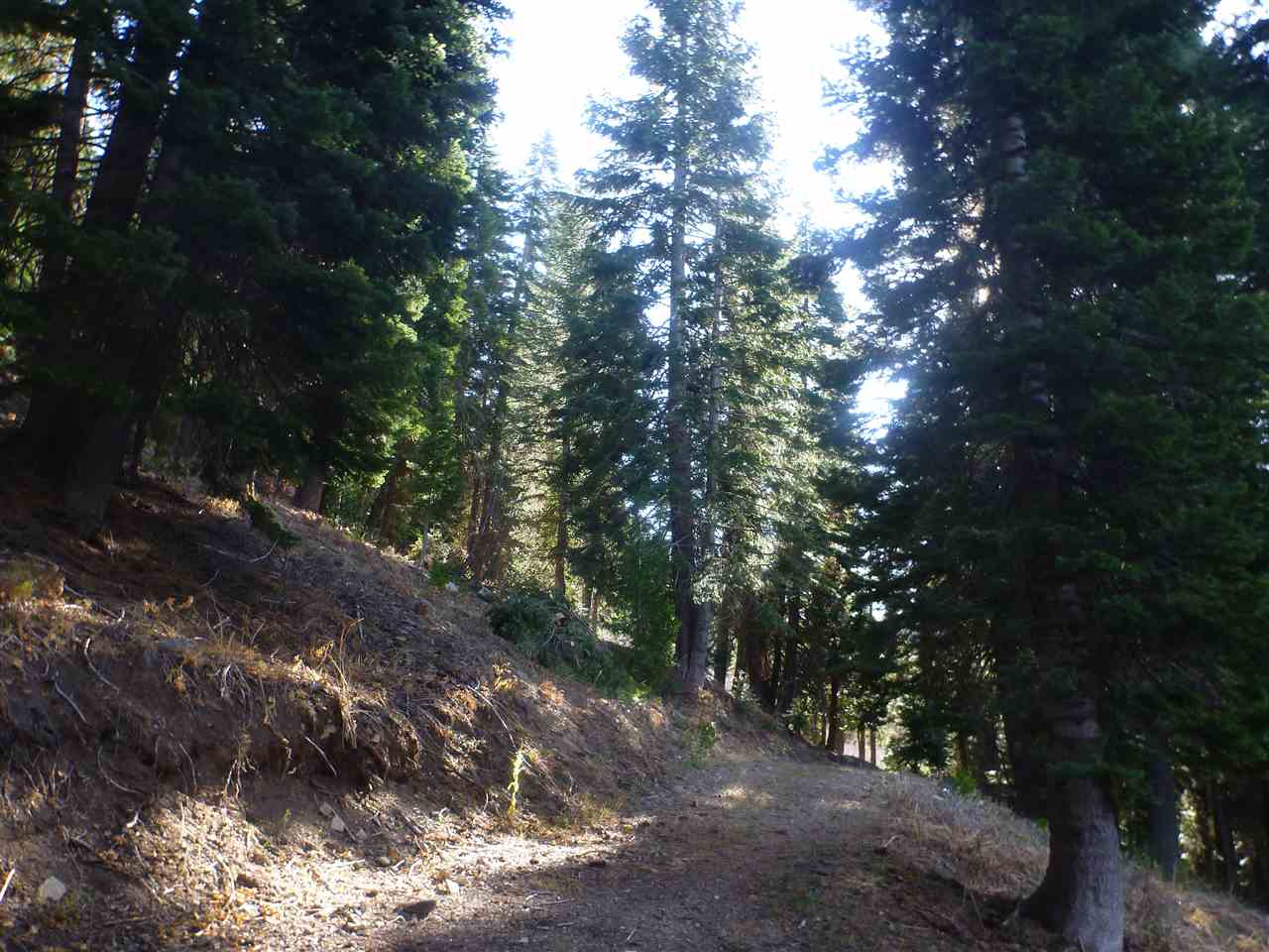 0 Taylor Lake Road Etna, CA 96027 - Photo 11 of 13 Gallery Image 11
