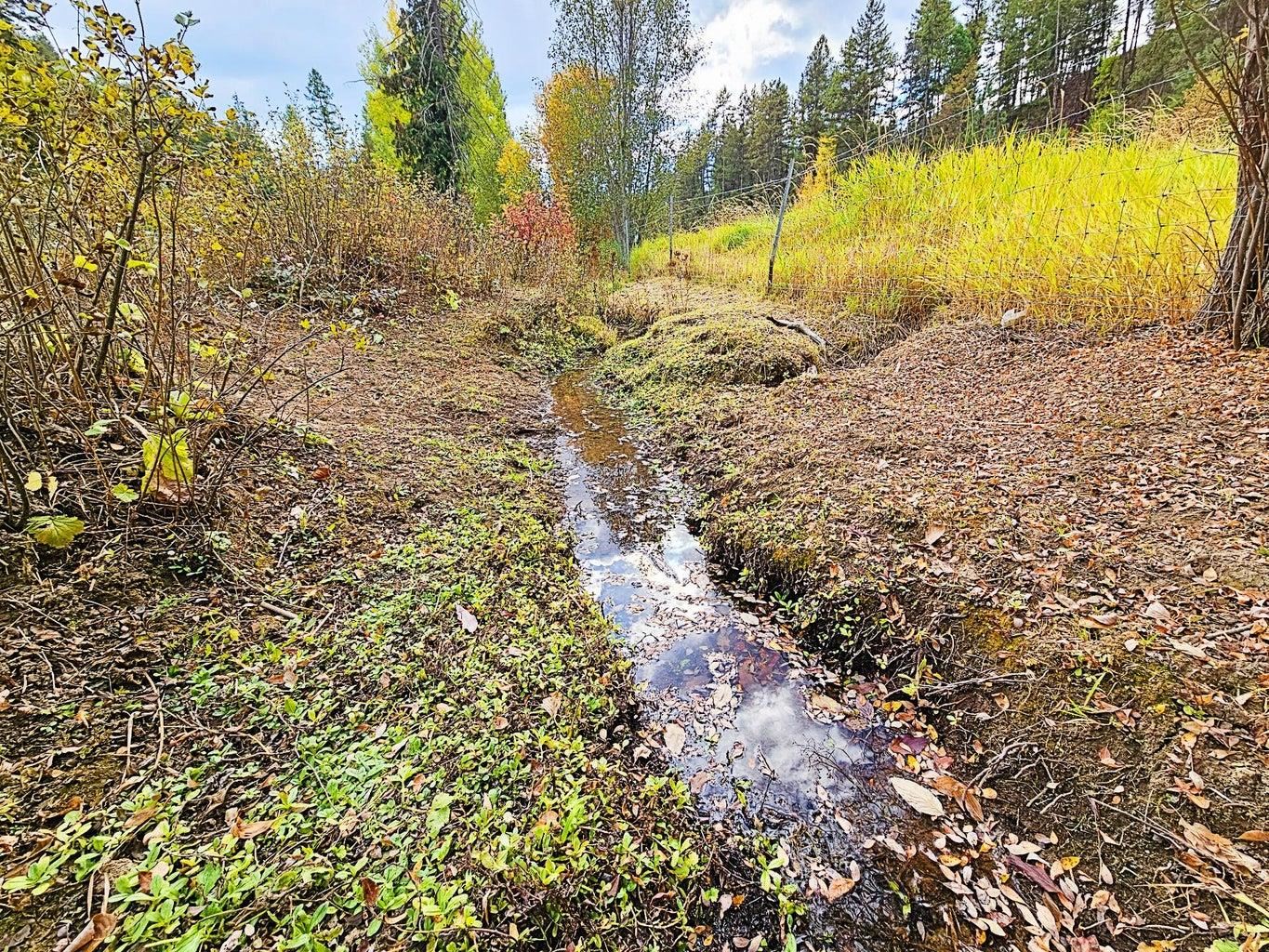 410 H Prouty Corner Loop Road Colville, WA 99114 - Photo 21 of 29