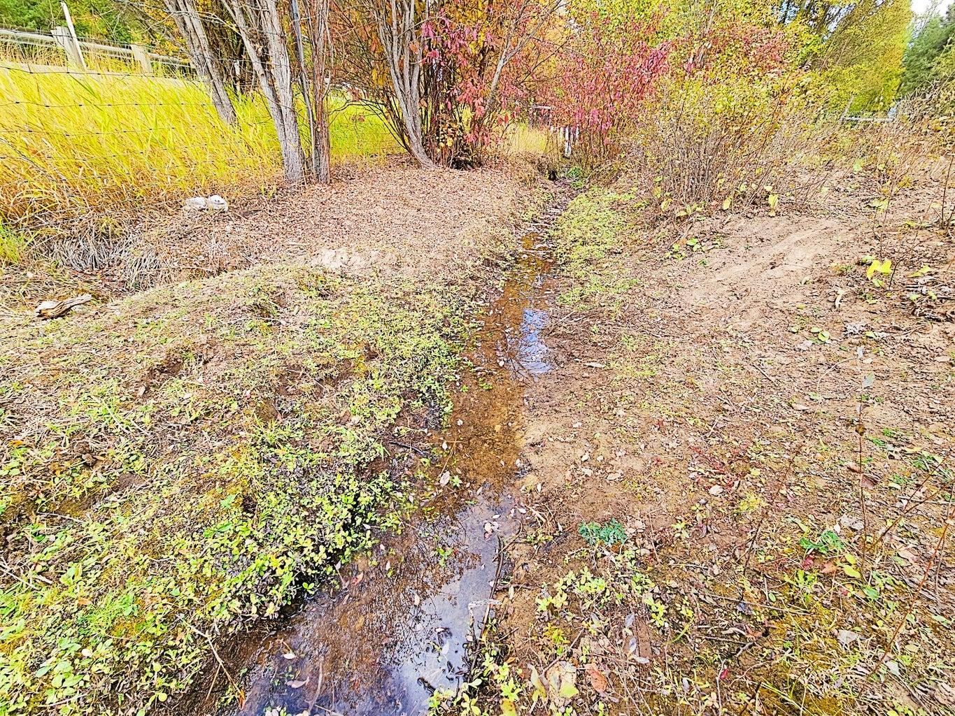 410 H Prouty Corner Loop Road Colville, WA 99114 - Photo 25 of 29