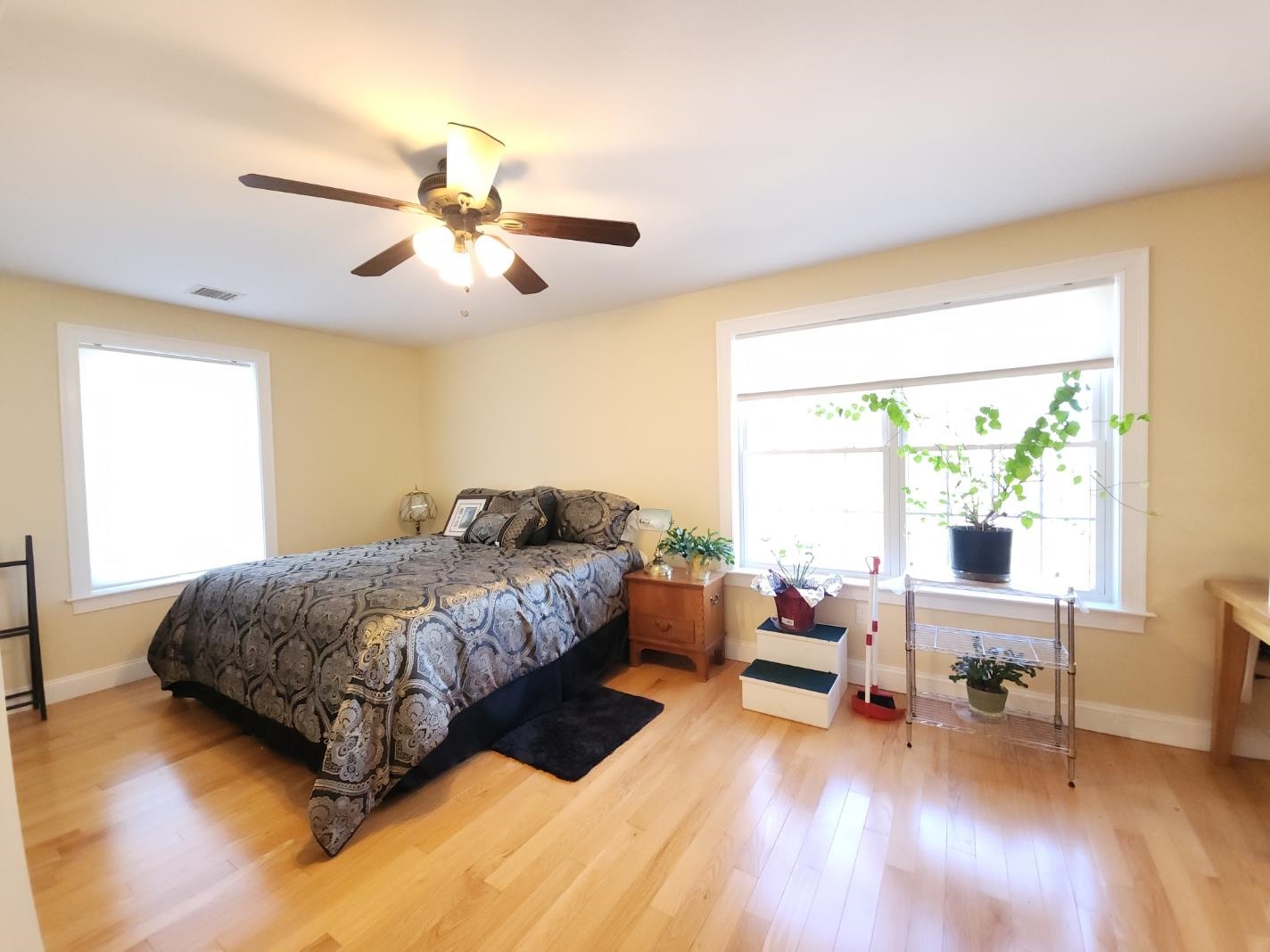 21 Sedlari Way Alton, NH 03810 - Photo 21 of 43