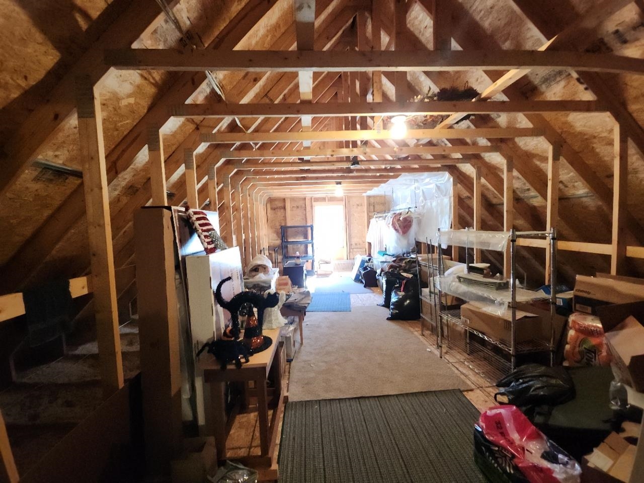 21 Sedlari Way Alton, NH 03810 - Photo 25 of 43