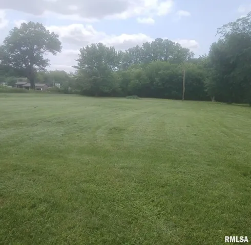a view of a field with trees in the background