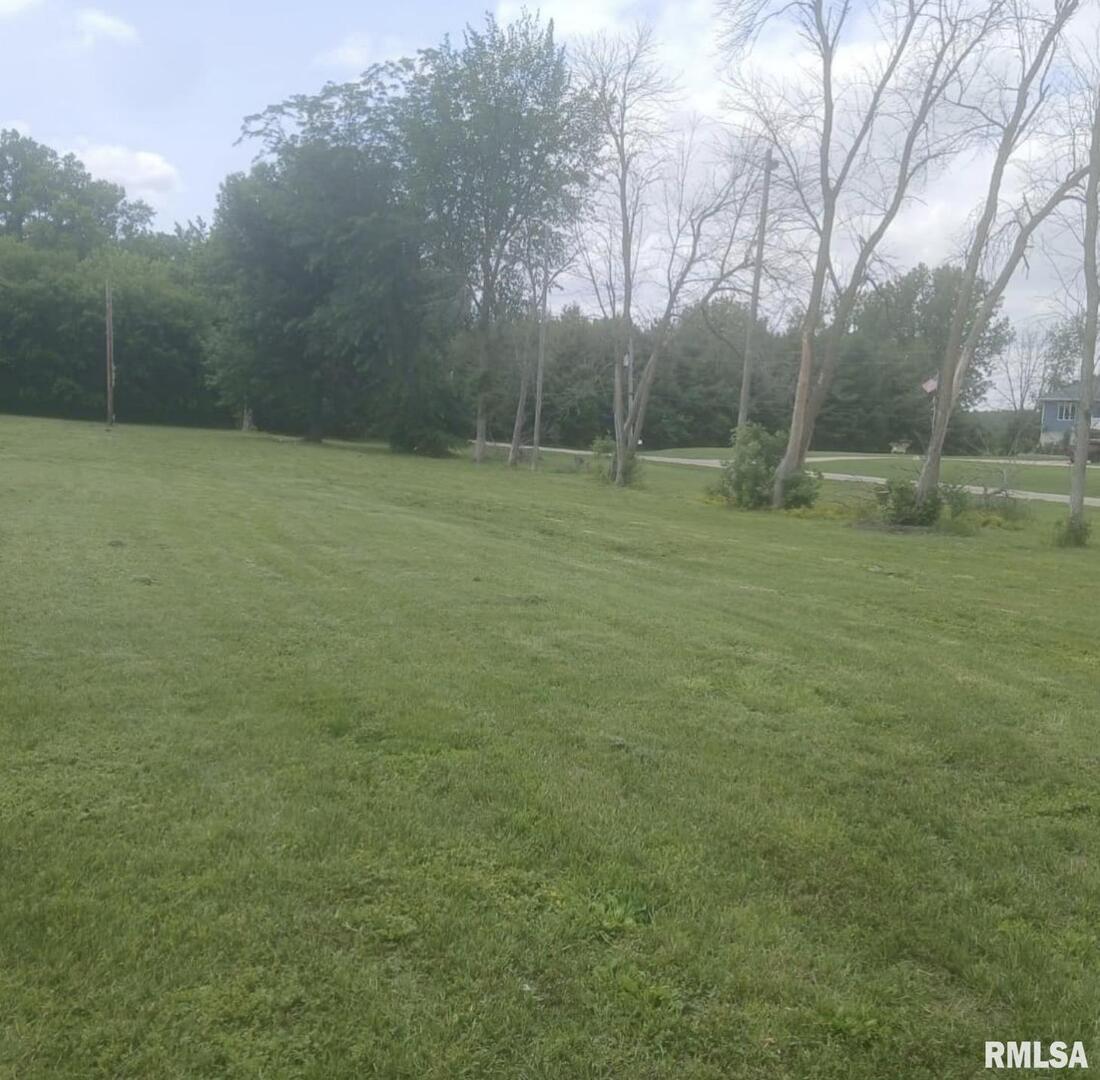 206 9th Avenue North Albany, IL 61230 - Photo 4 of 7 a view of a field with trees in background
