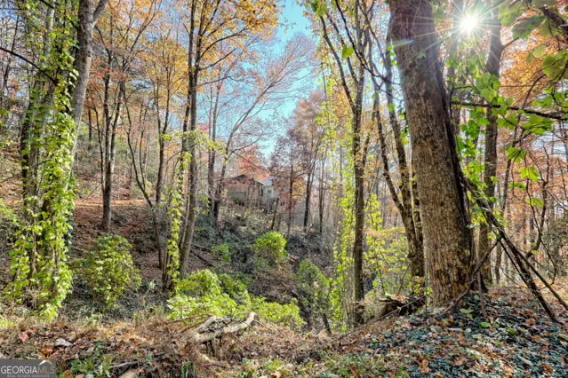 $525,000 | 117 Avalon Street, Clayton, GA 30525