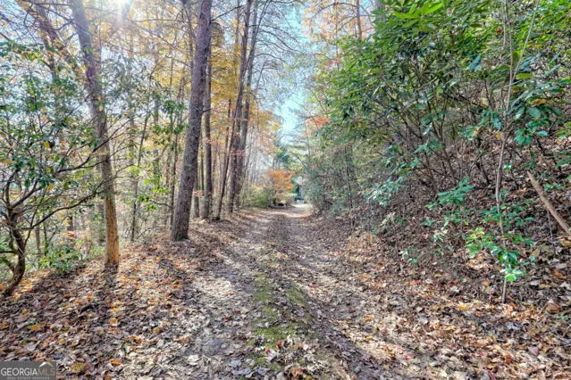 $525,000 | 117 Avalon Street, Clayton, GA 30525