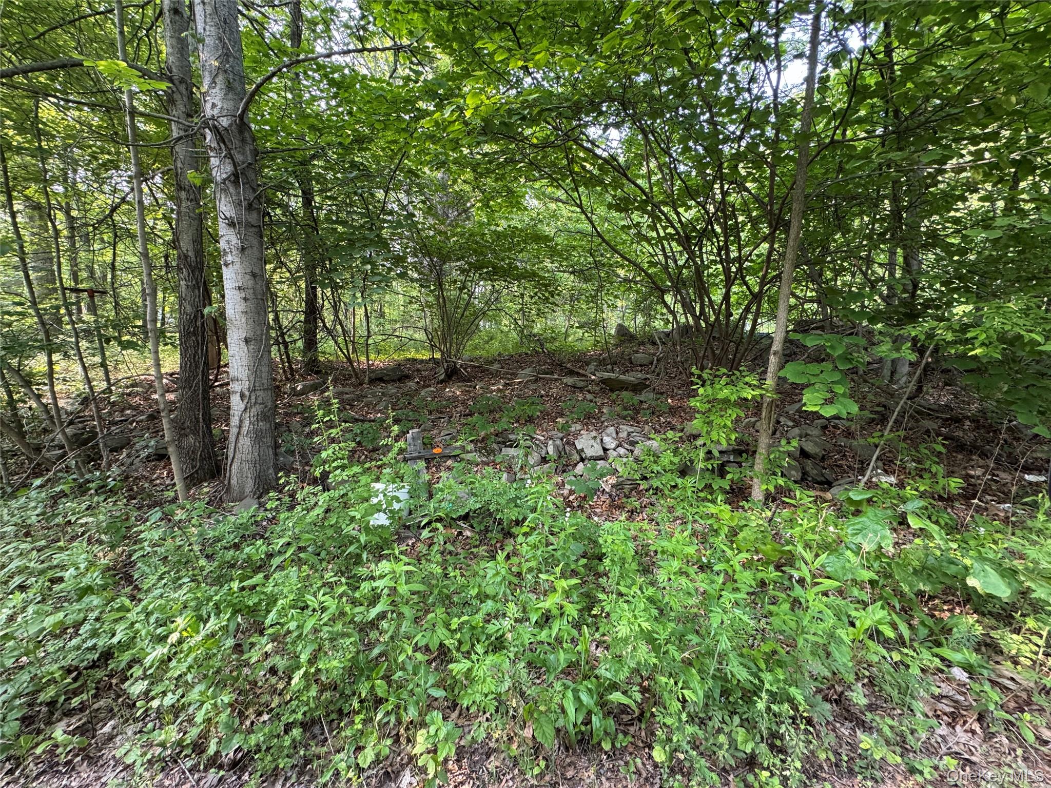24 Saul Trail Wallkill, NY 12589 - Photo 6 of 8 a backyard of a house with lots of green space and trees