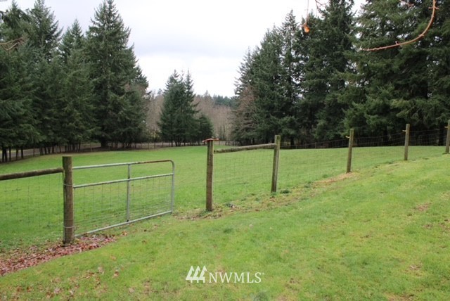 4910 193rd Lane Southwest Rochester, WA 98579 - Photo 4 of 25 a view of a park