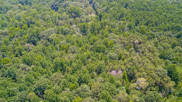 $150,000 | 1 Chimney Springs Drive, Goochland, VA 23063