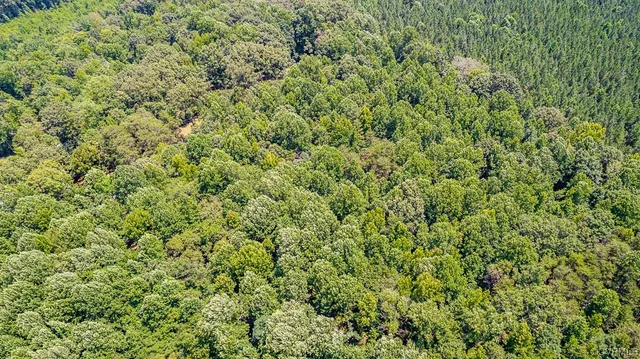 $150,000 | 1 Chimney Springs Drive, Goochland, VA 23063