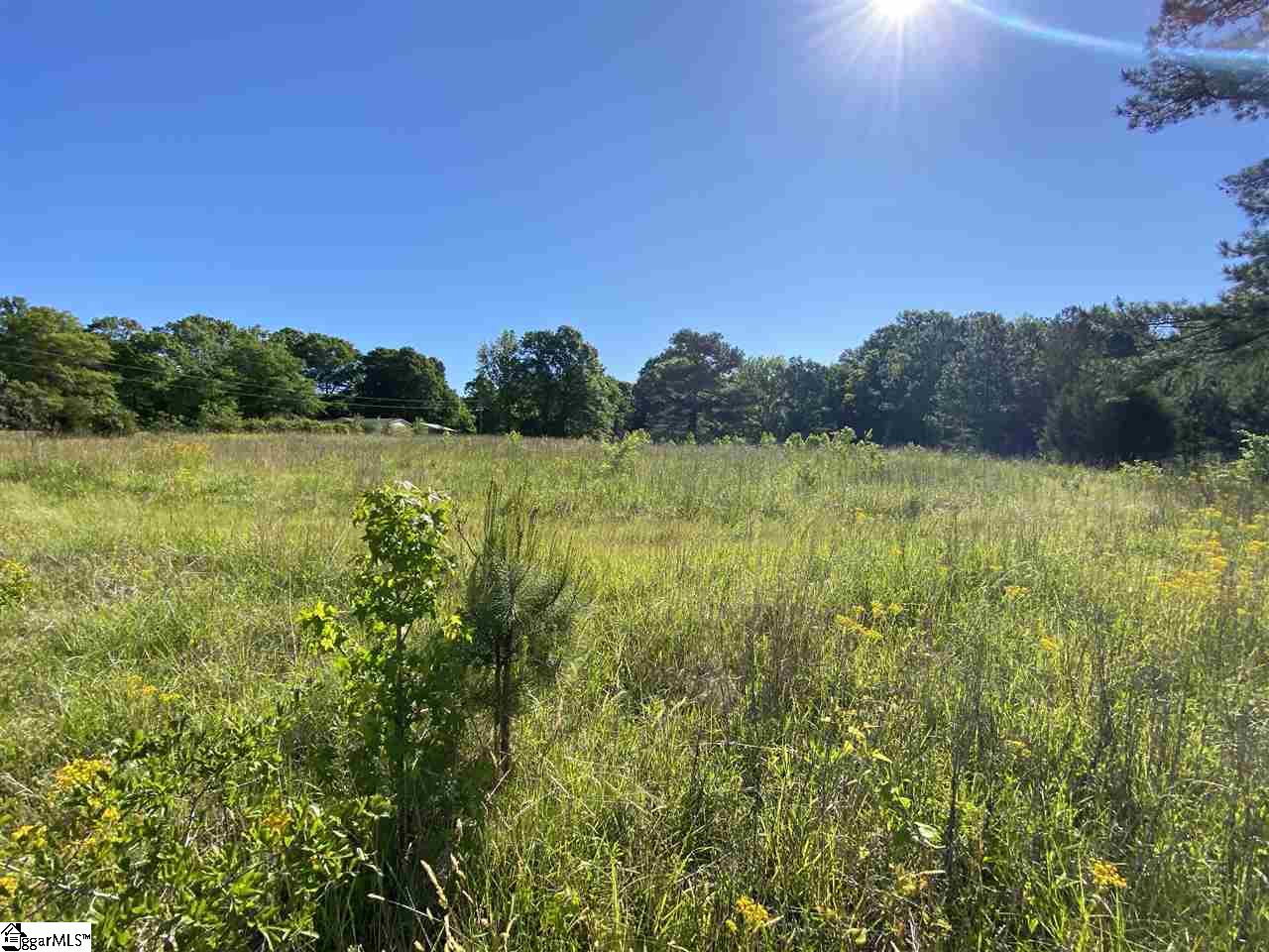 Durbin Farms Road Gray Court, SC 29645 - Photo 1 of 10