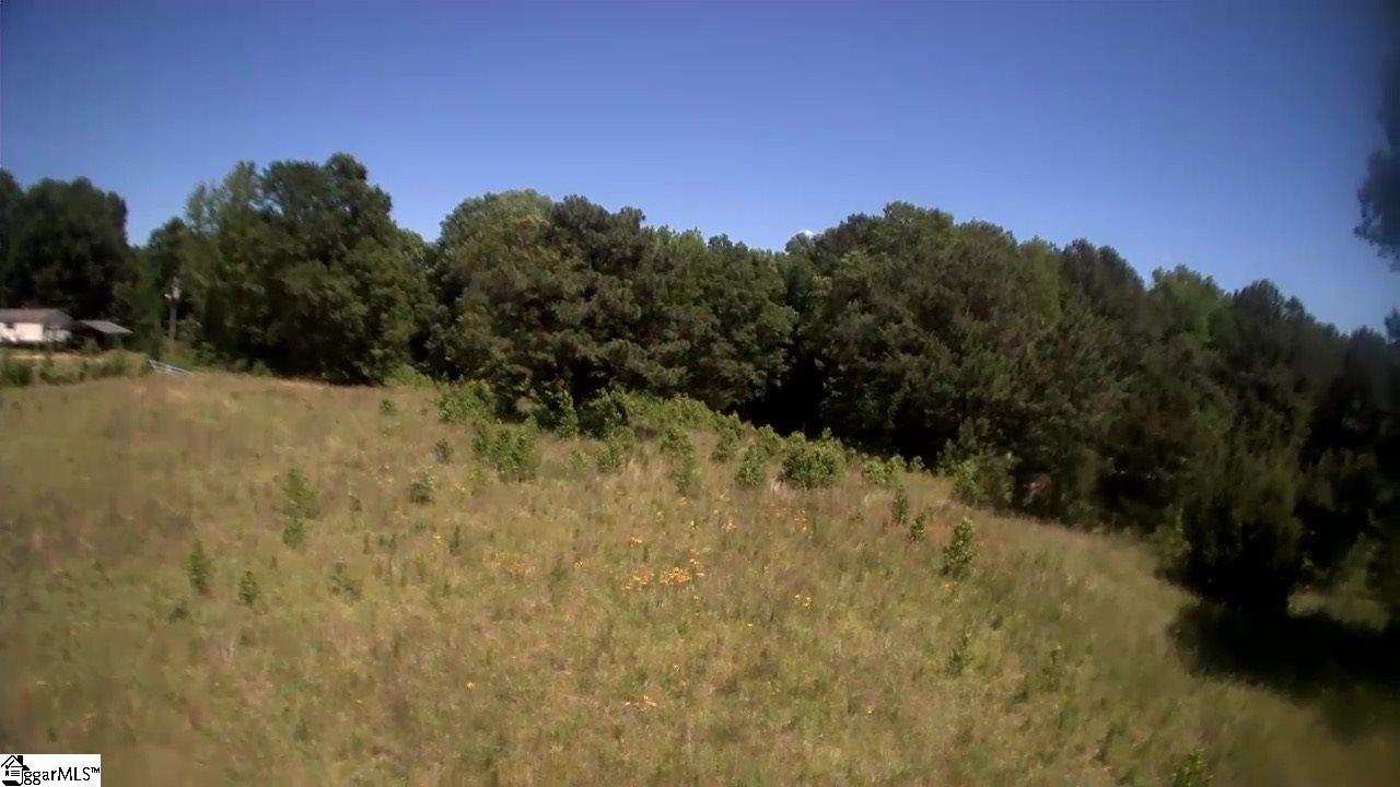 Durbin Farms Road Gray Court, SC 29645 - Photo 2 of 10