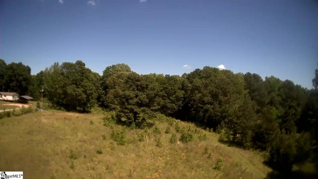 Durbin Farms Road Gray Court, SC 29645 - Photo 4 of 10
