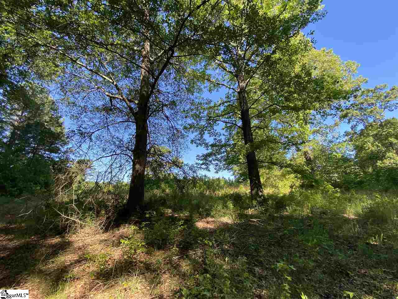 Durbin Farms Road Gray Court, SC 29645 - Photo 5 of 10