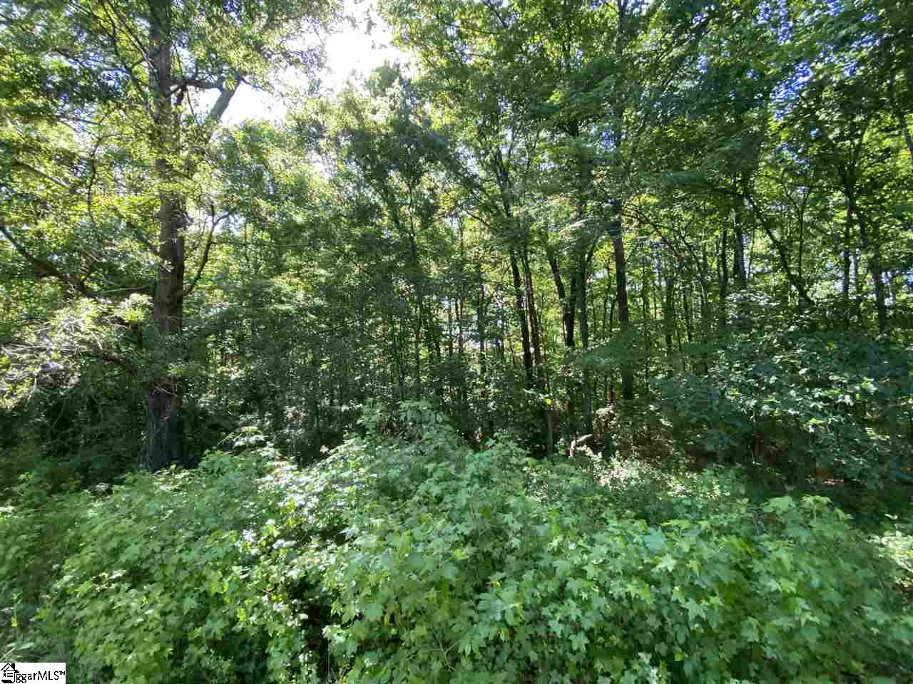 Durbin Farms Road Gray Court, SC 29645 - Photo 6 of 10