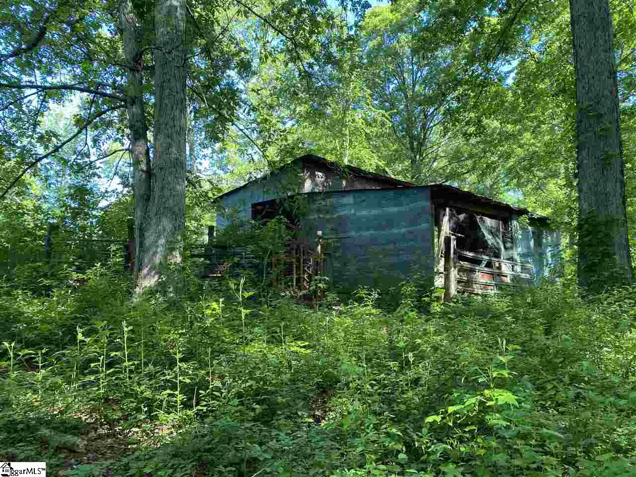 Durbin Farms Road Gray Court, SC 29645 - Photo 7 of 10