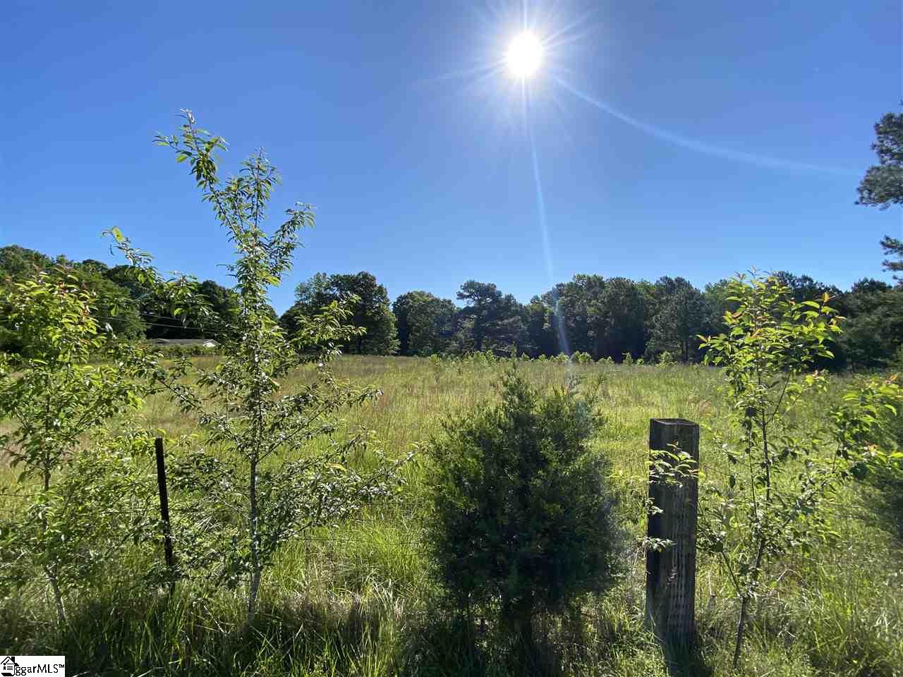 Durbin Farms Road Gray Court, SC 29645 - Photo 9 of 10