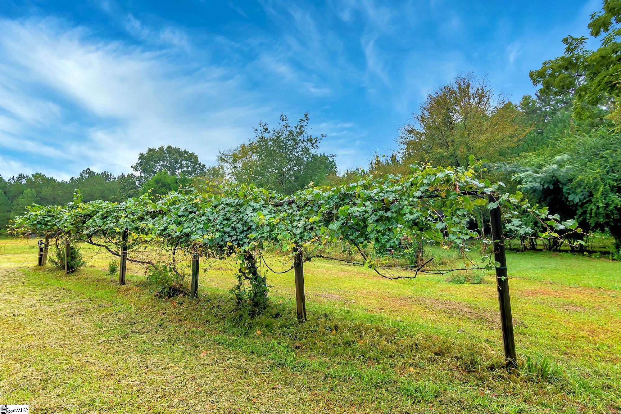 1516 Gassoway Farm Road Abbeville, SC 29620 - Photo 3 of 34 Gallery Image 3