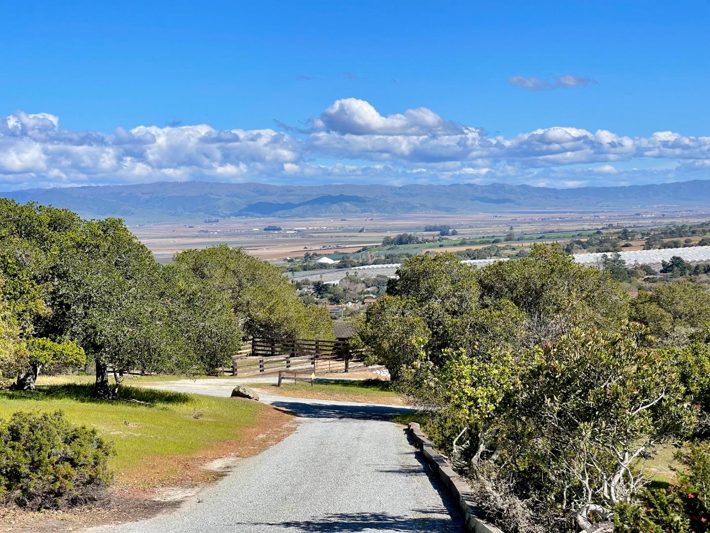a view of a swimming pool with an outdoor seating and a garden