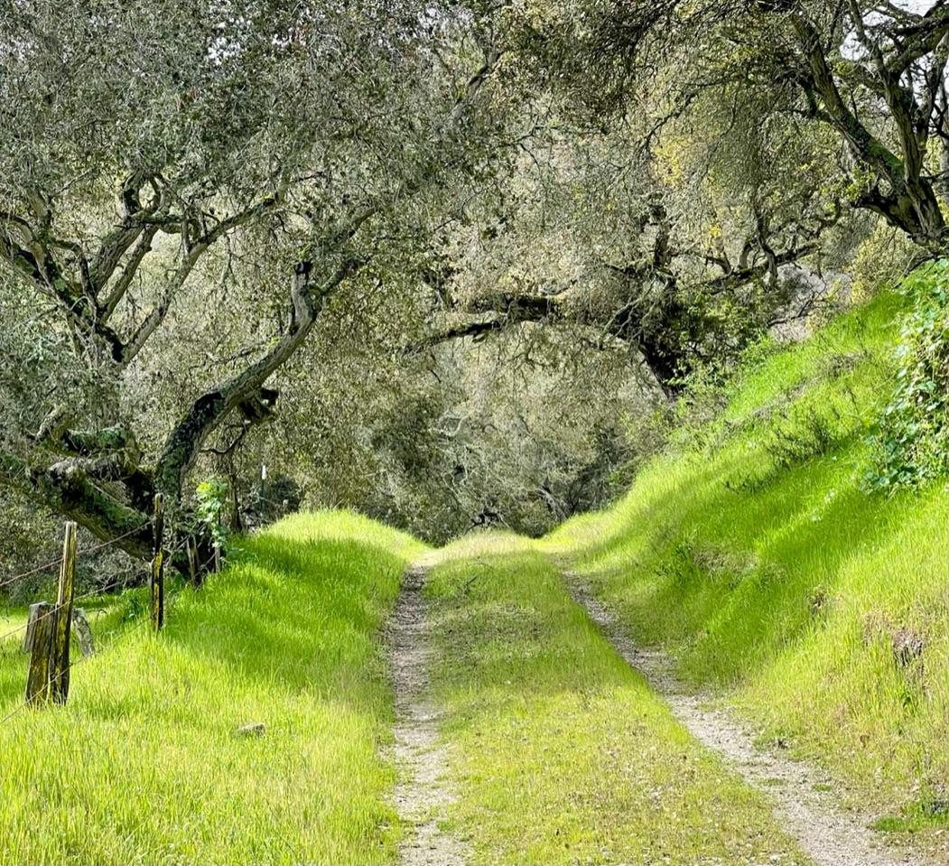 270 River Road Salinas, CA 93908 - Photo 20 of 44