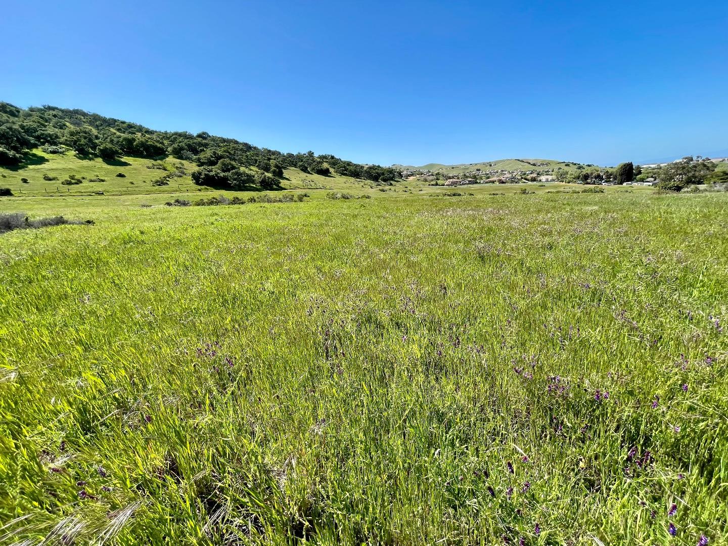 270 River Road Salinas, CA 93908 - Photo 23 of 44 a view of an ocean