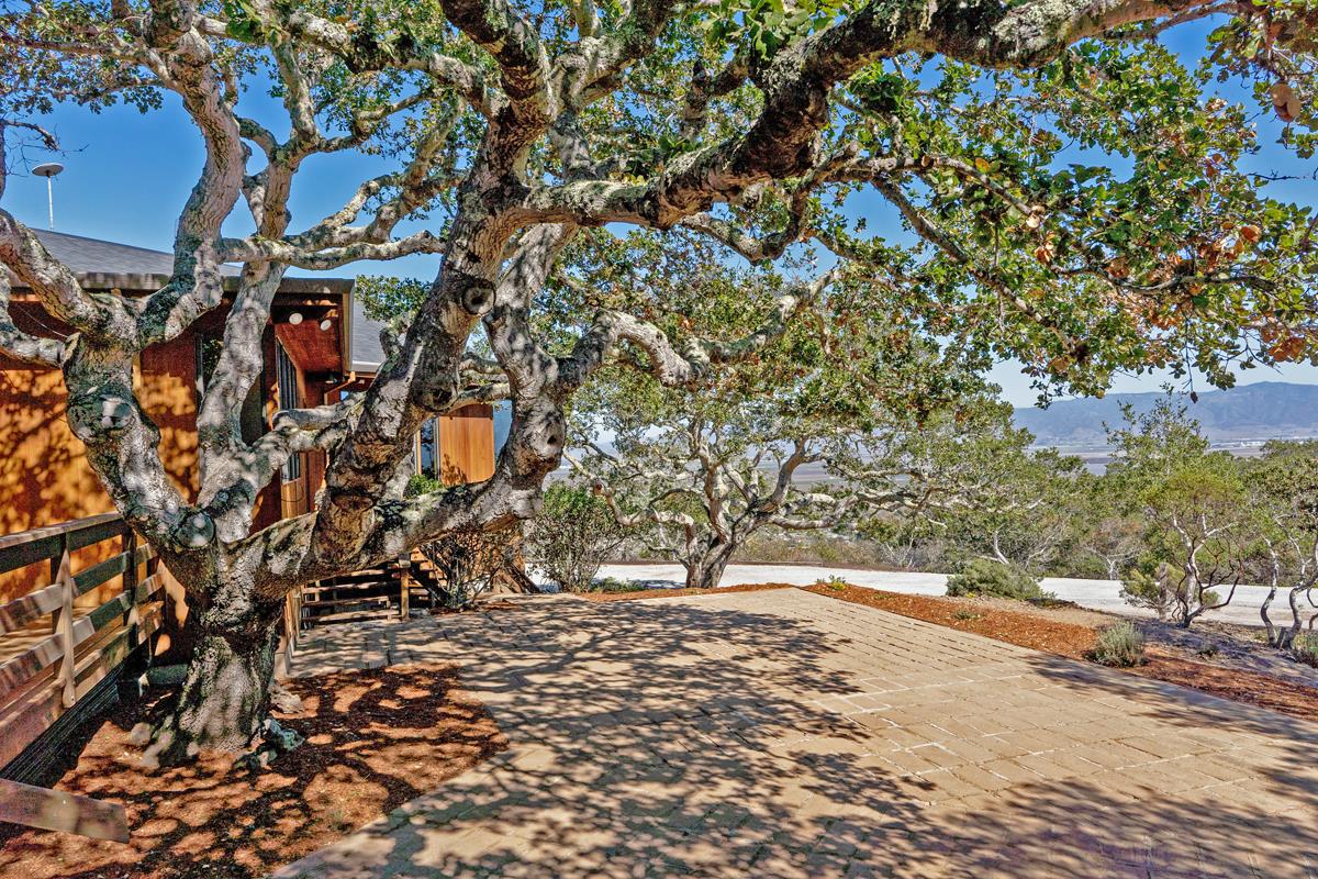 270 River Road Salinas, CA 93908 - Photo 27 of 44 a view of outdoor space with lots of trees