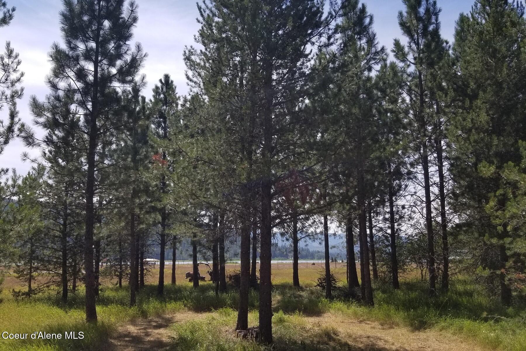 Nna Ponderesa Ranch Road Sagle, ID 83860 - Photo 1 of 8 5 Acres