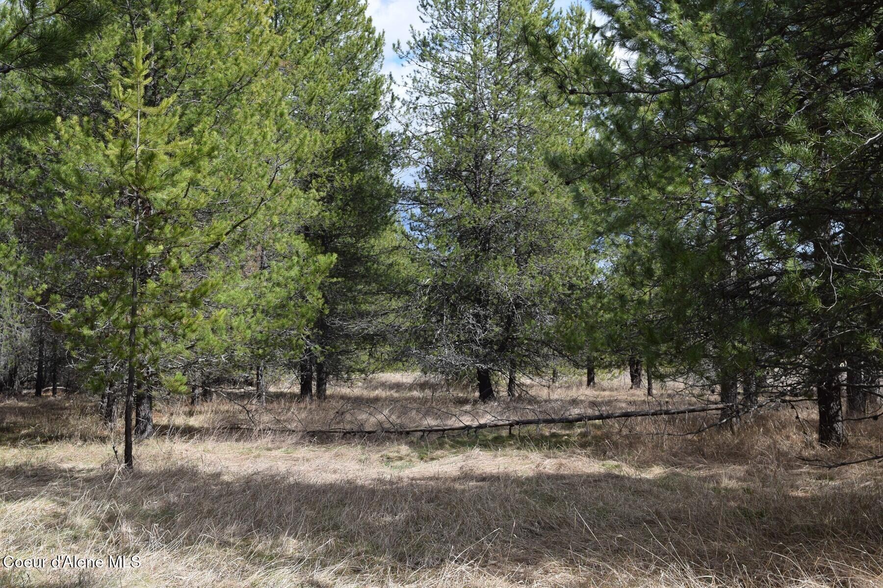 Nna Ponderesa Ranch Road Sagle, ID 83860 - Photo 11 of 33 86244576