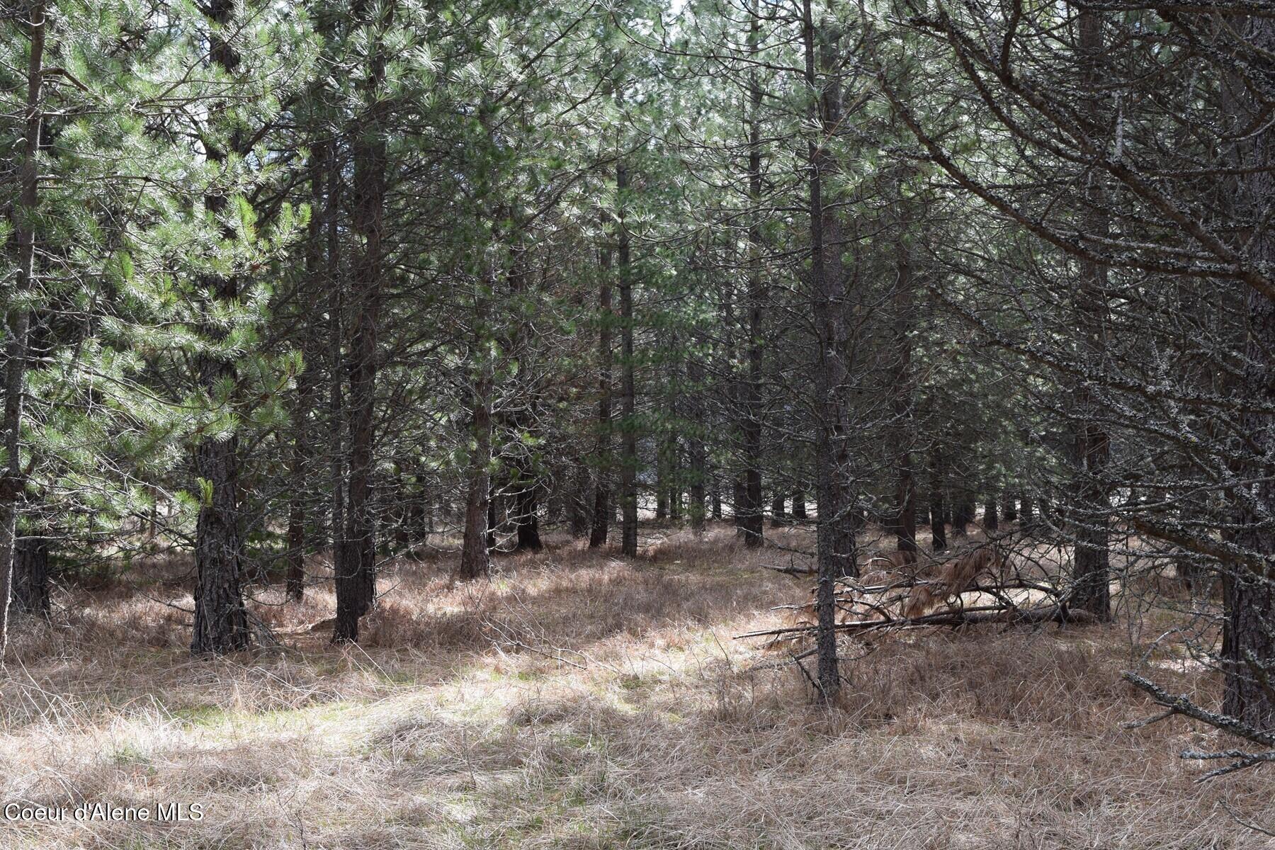 Nna Ponderesa Ranch Road Sagle, ID 83860 - Photo 14 of 33 86244577