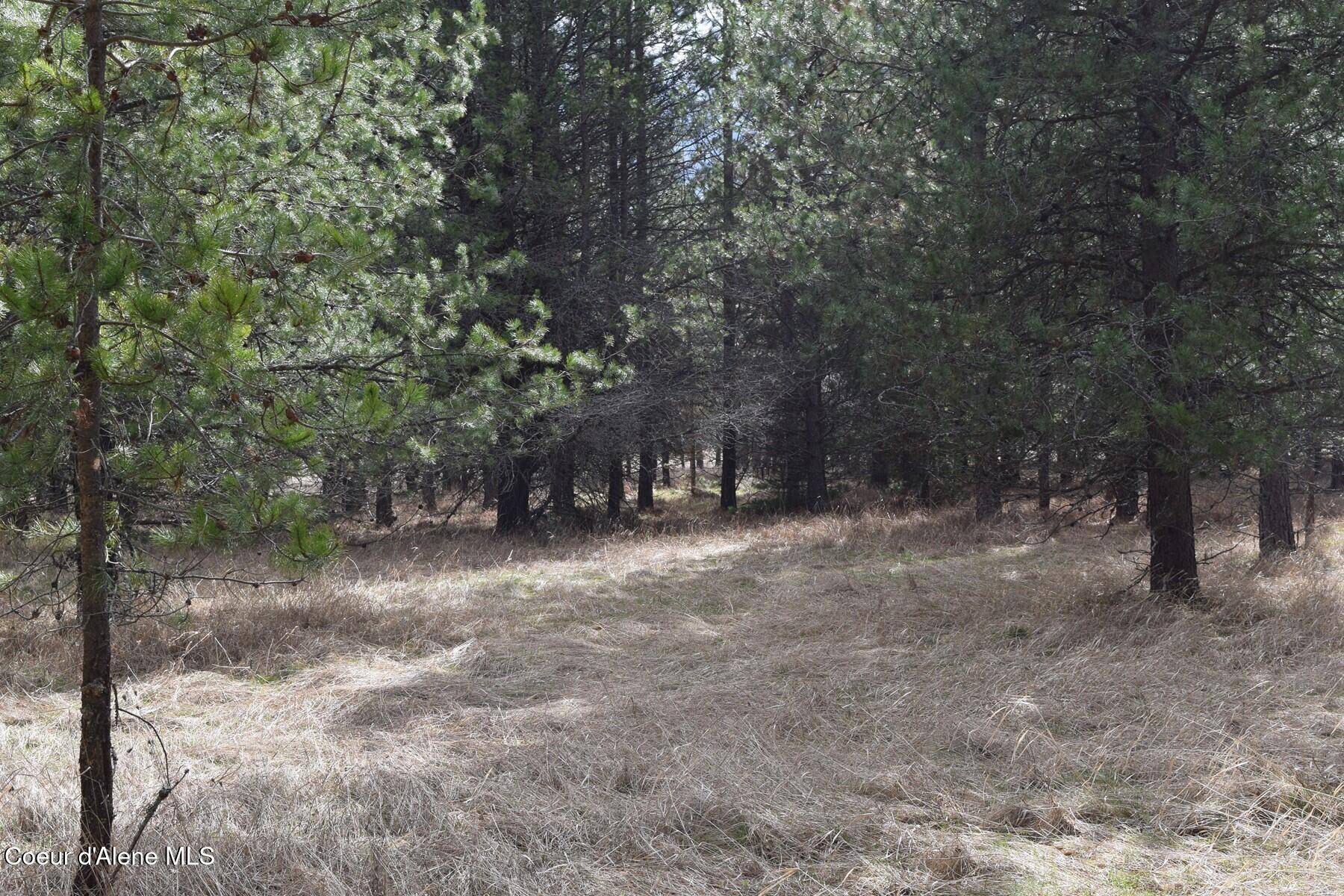 Nna Ponderesa Ranch Road Sagle, ID 83860 - Photo 16 of 33 86244580