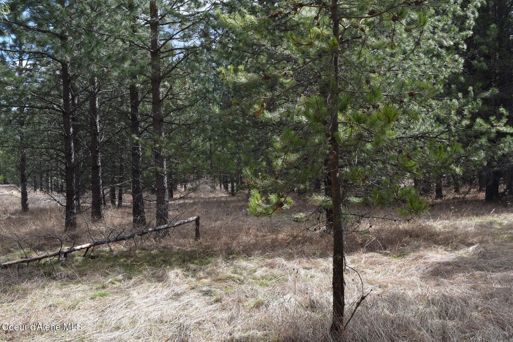 Nna Ponderesa Ranch Road Sagle, ID 83860 - Photo 17 of 33 86244581