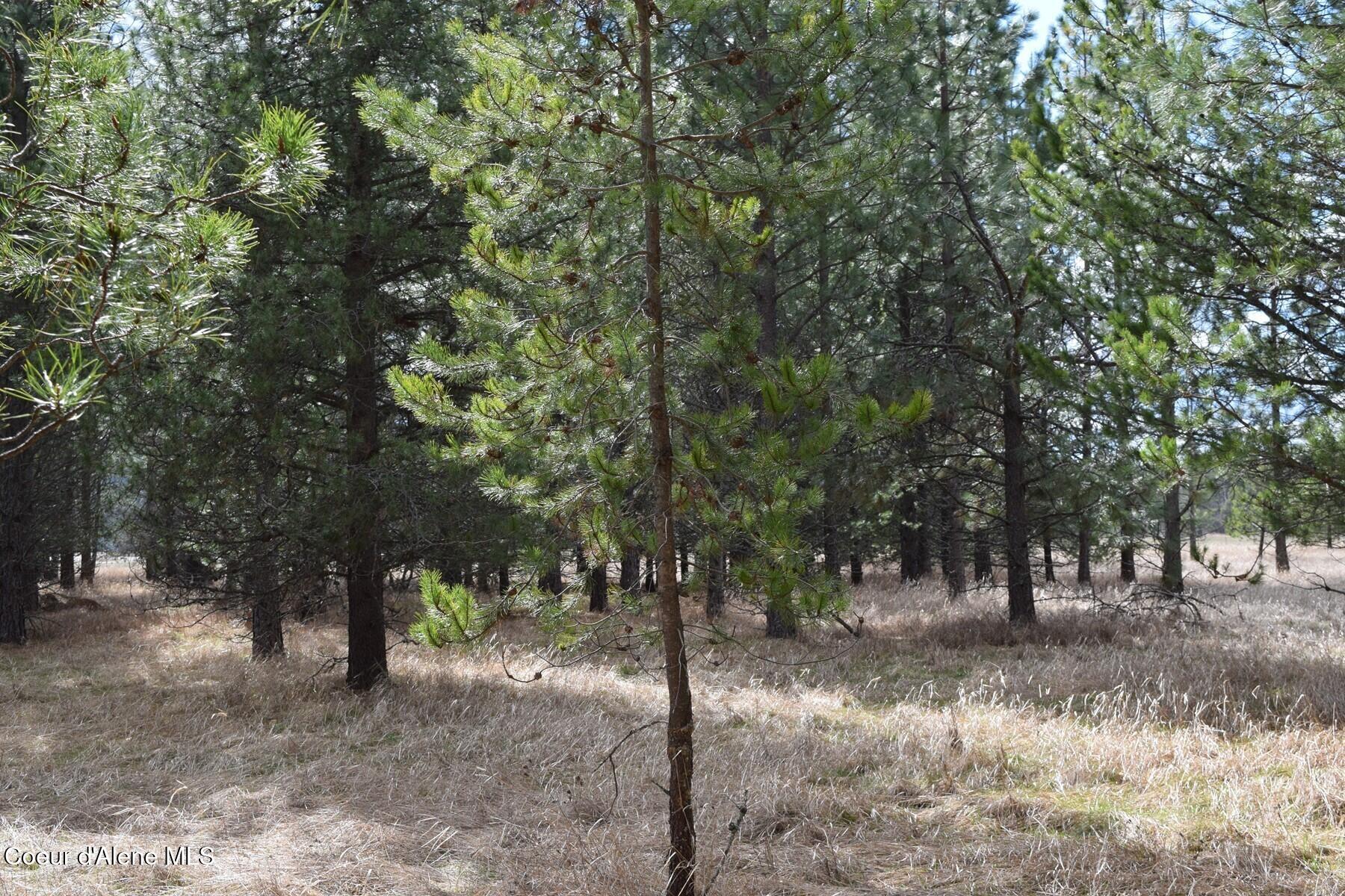 Nna Ponderesa Ranch Road Sagle, ID 83860 - Photo 19 of 33 86244583