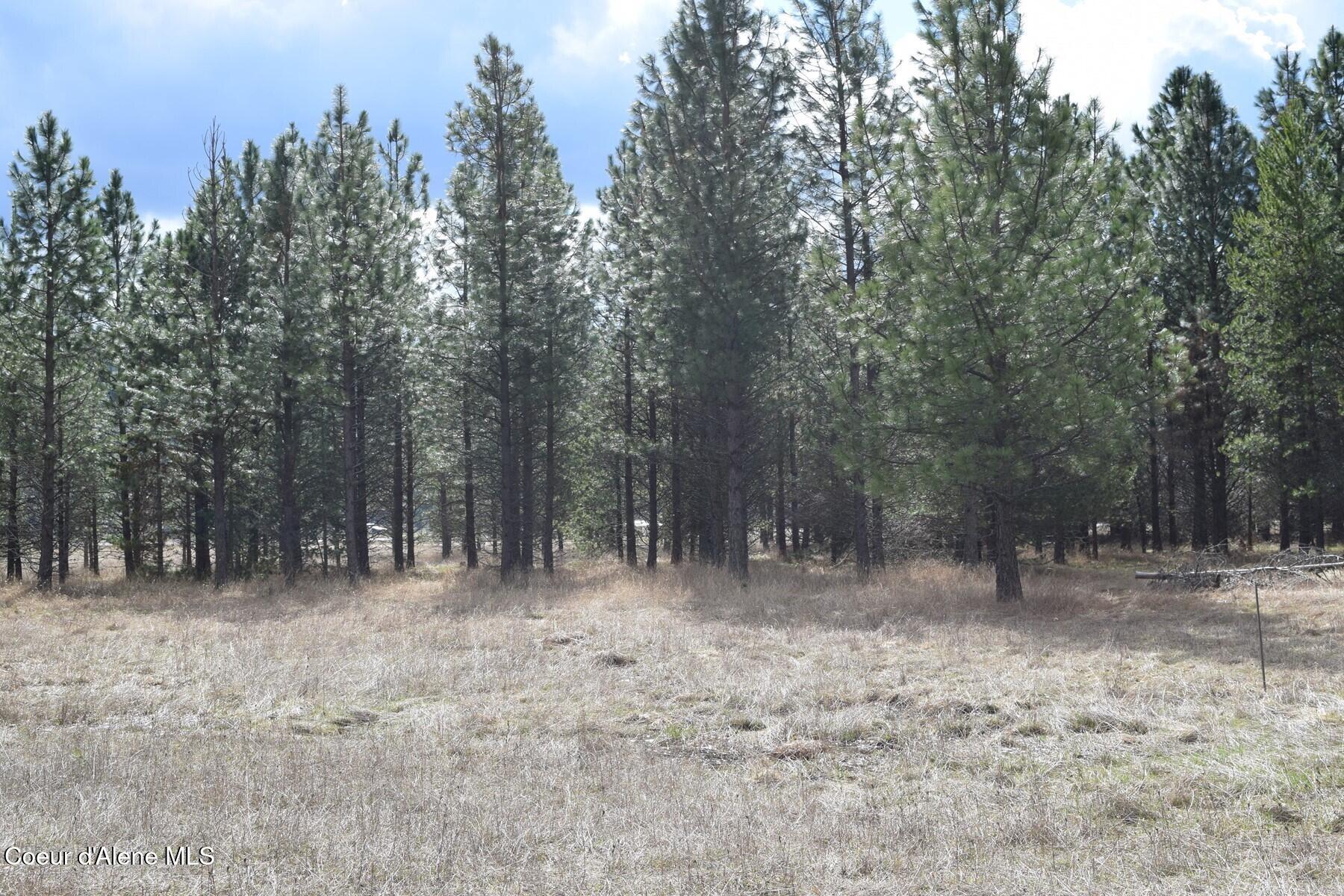 Nna Ponderesa Ranch Road Sagle, ID 83860 - Photo 20 of 33 86244584