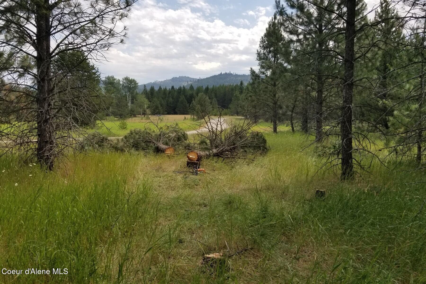Nna Ponderesa Ranch Road Sagle, ID 83860 - Photo 2 of 8 Mountain views