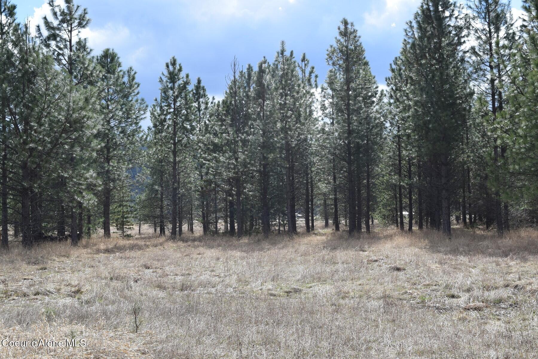 Nna Ponderesa Ranch Road Sagle, ID 83860 - Photo 21 of 33 86244585