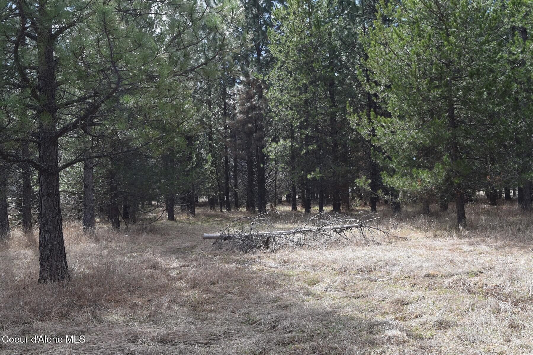 Nna Ponderesa Ranch Road Sagle, ID 83860 - Photo 22 of 33 86244587
