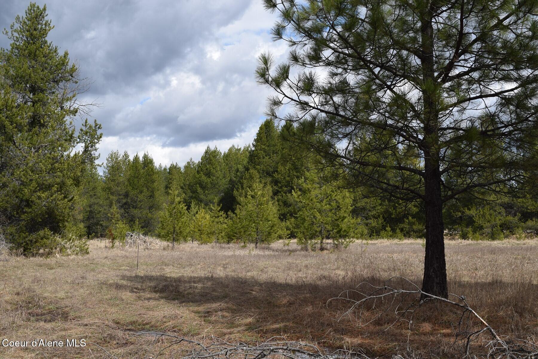 Nna Ponderesa Ranch Road Sagle, ID 83860 - Photo 23 of 33 86244588