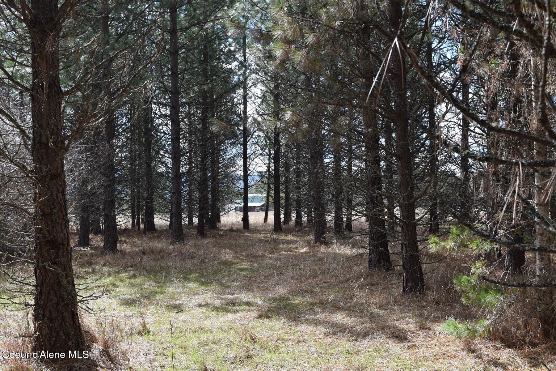 Nna Ponderesa Ranch Road Sagle, ID 83860 - Photo 25 of 33 86244590
