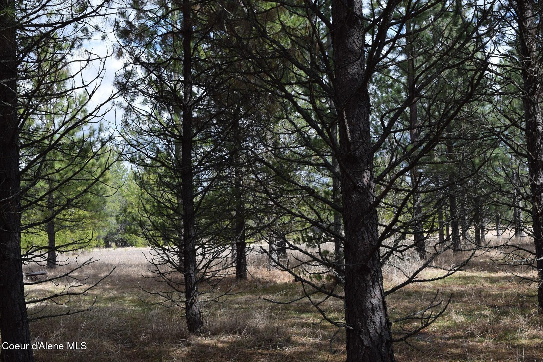 Nna Ponderesa Ranch Road Sagle, ID 83860 - Photo 26 of 33 86244591