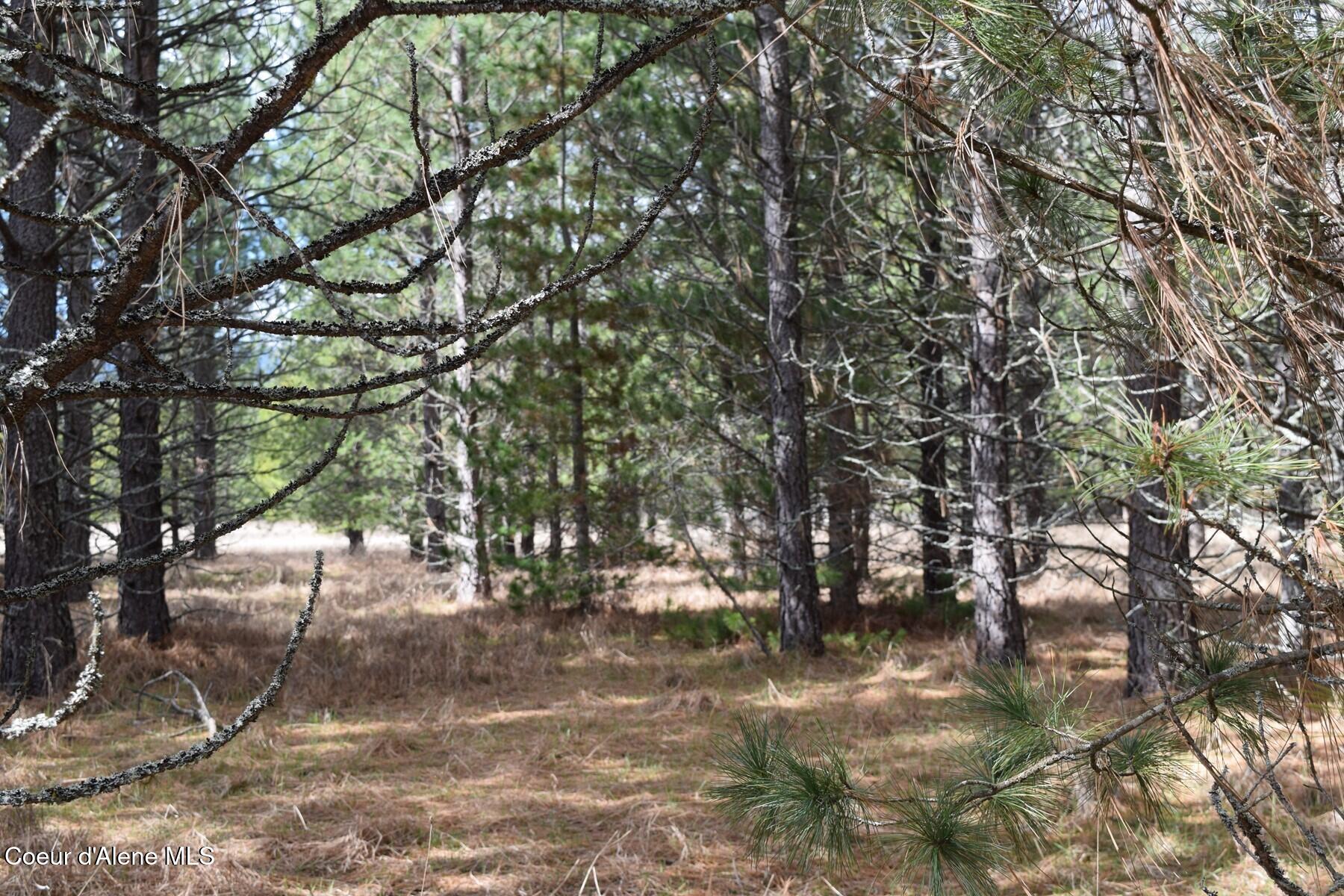 Nna Ponderesa Ranch Road Sagle, ID 83860 - Photo 27 of 33 86244592
