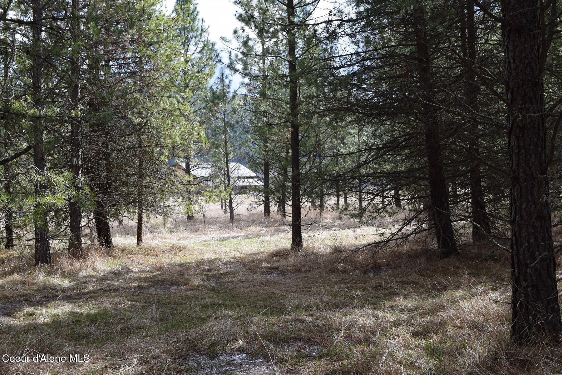 Nna Ponderesa Ranch Road Sagle, ID 83860 - Photo 28 of 33 86244594