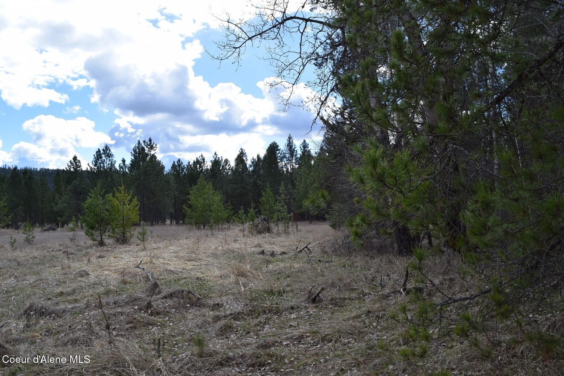 Nna Ponderesa Ranch Road Sagle, ID 83860 - Photo 29 of 33 86244601