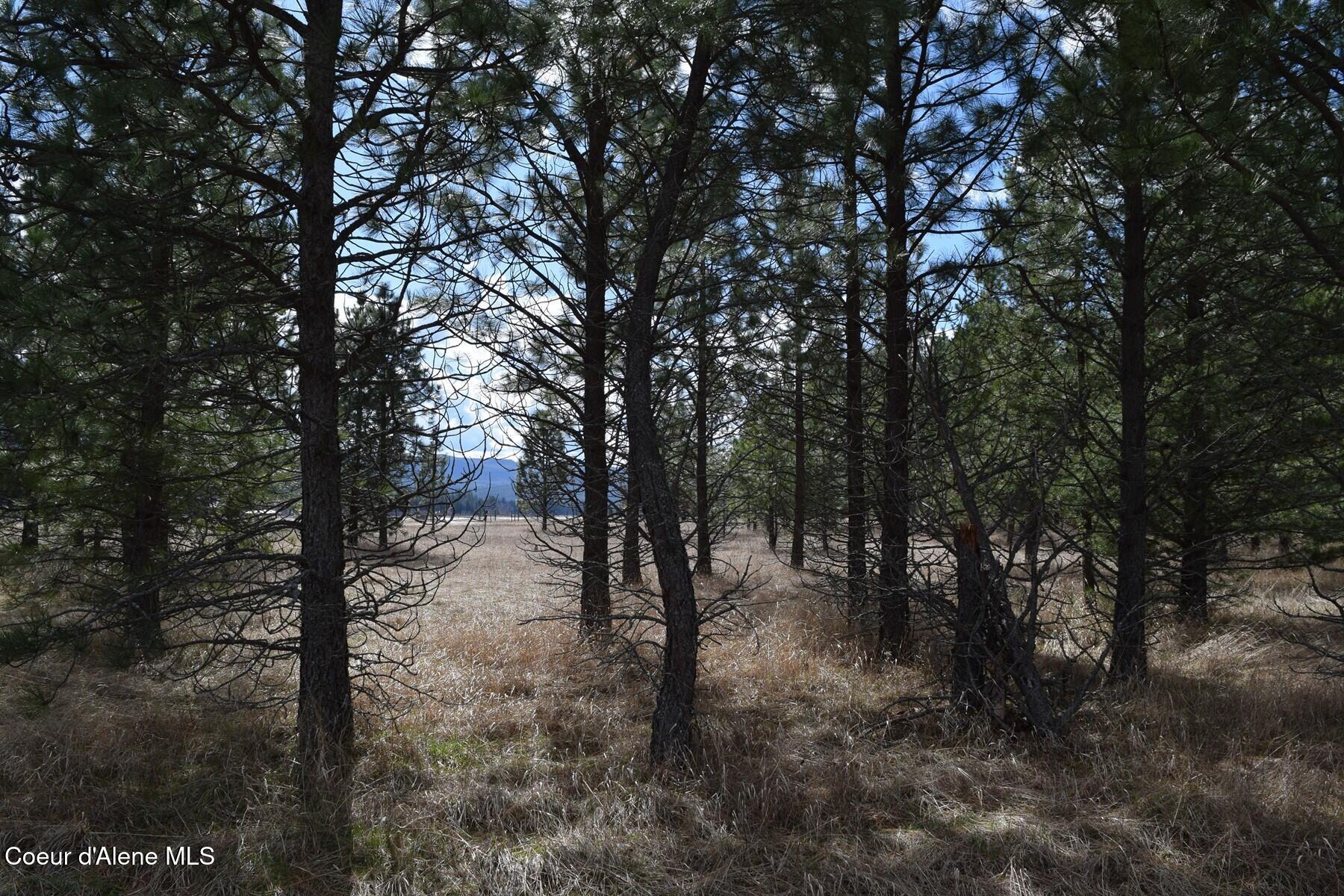Nna Ponderesa Ranch Road Sagle, ID 83860 - Photo 30 of 33 86244606