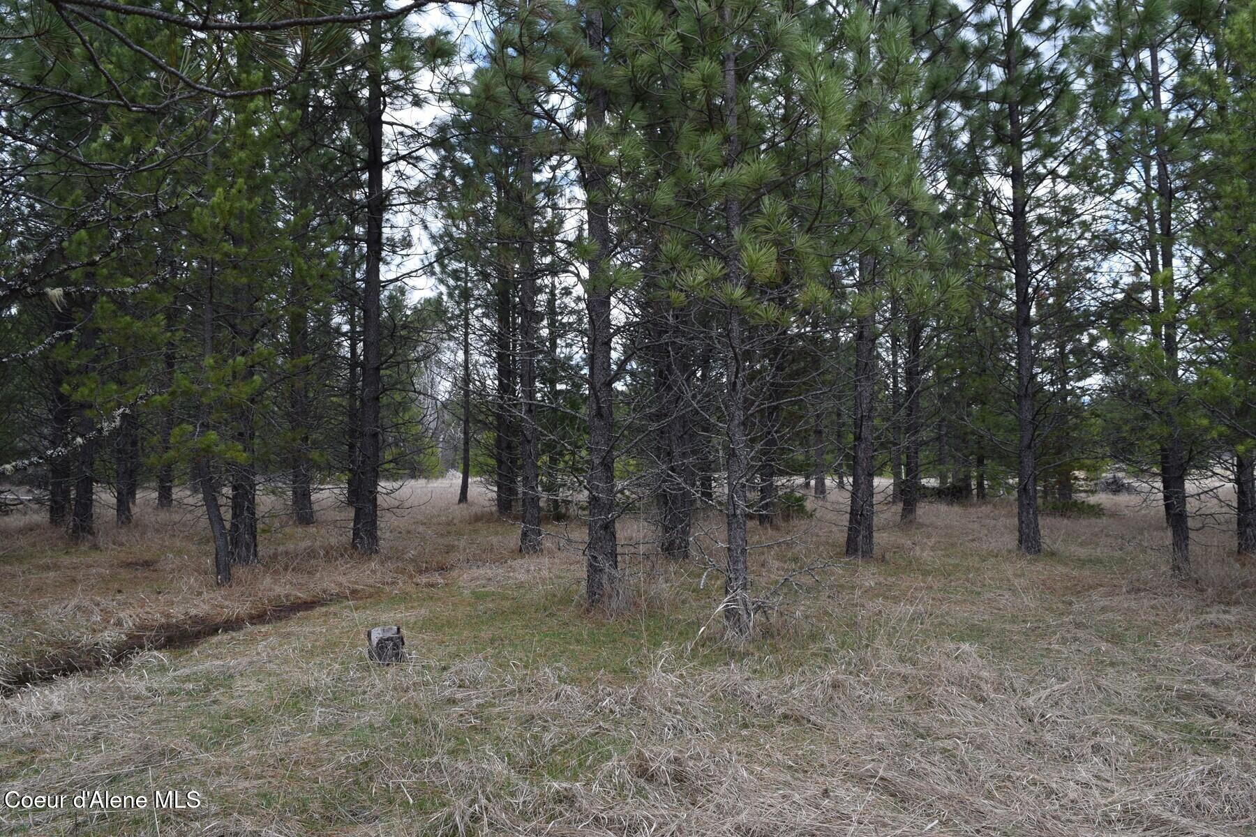 Nna Ponderesa Ranch Road Sagle, ID 83860 - Photo 31 of 33 86244603