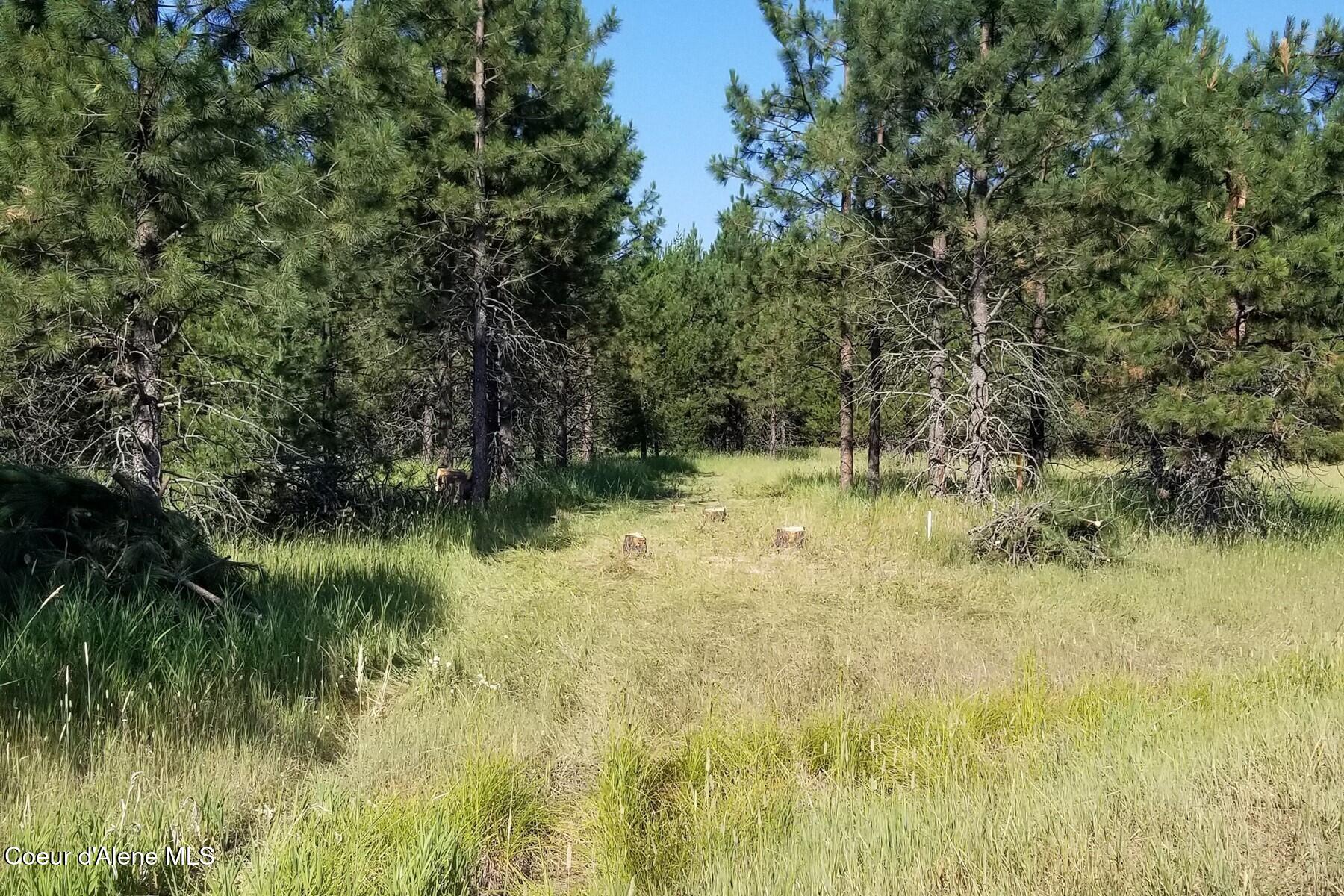 Nna Ponderesa Ranch Road Sagle, ID 83860 - Photo 4 of 8 86211275