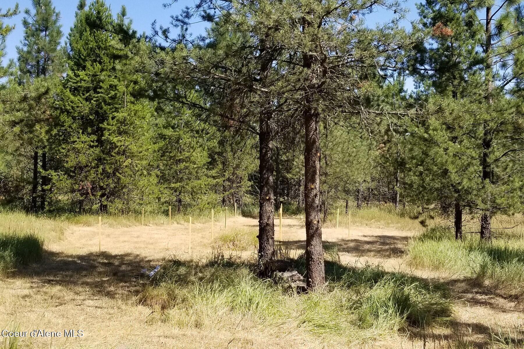 Nna Ponderesa Ranch Road Sagle, ID 83860 - Photo 5 of 8 86211277